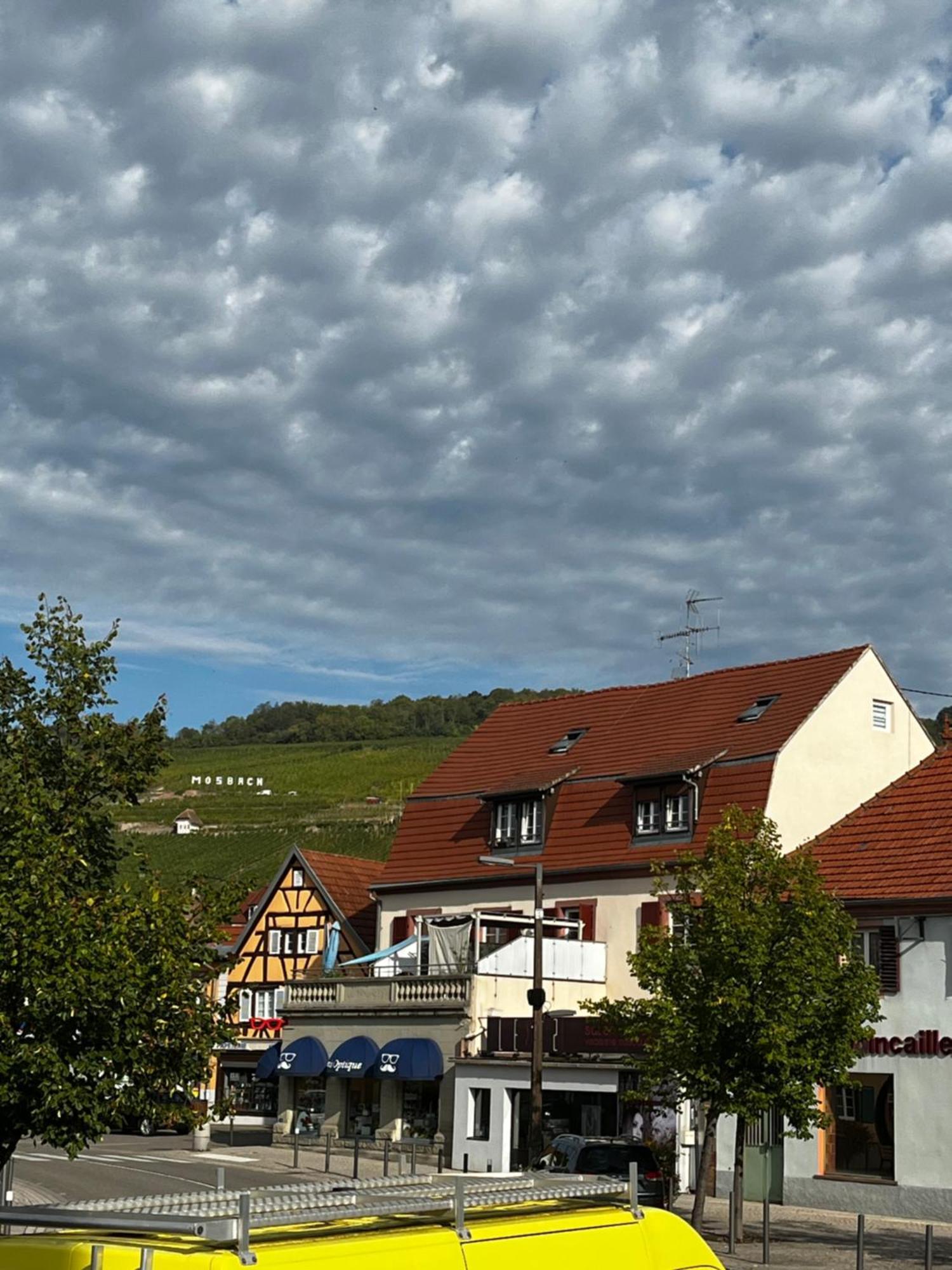 Les Chambres Du Marlenberg Марленайм Екстер'єр фото